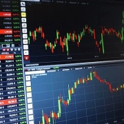 Ultimate Guide on Forex Trading